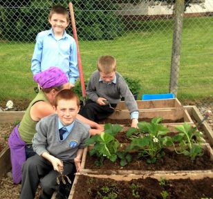 School Garden 2104