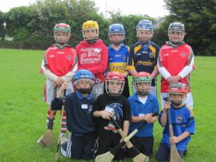 School Hurling Leagues