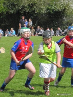 Hurling Vs Camogie